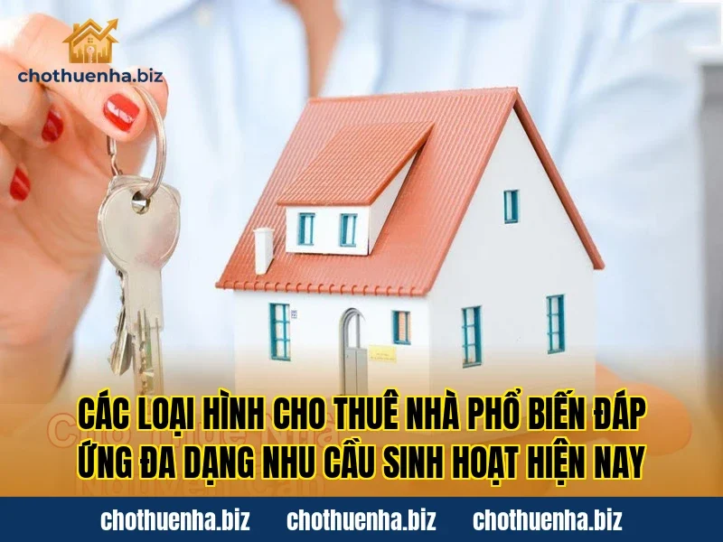 Các loại hình cho thuê nhà phổ biến đáp ứng đa dạng nhu cầu sinh hoạt hiện nay