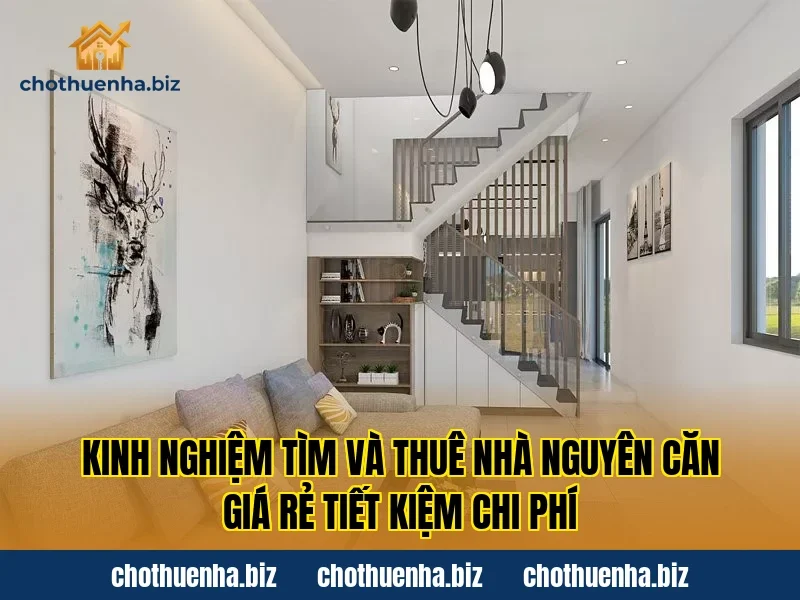 Kinh nghiệm tìm và thuê nhà nguyên căn giá rẻ tiết kiệm chi phí