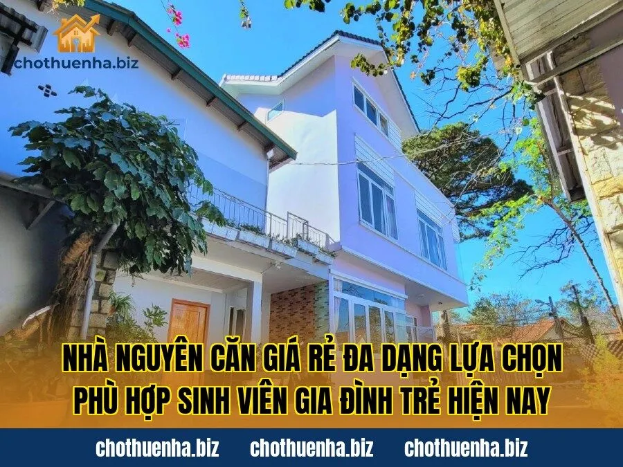 Nhà nguyên căn giá rẻ đa dạng lựa chọn phù hợp sinh viên gia đình trẻ hiện nay